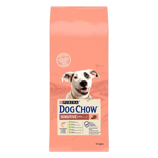 Dog Chow Hassas Köpekler için Somon Etli Yetişkin Köpek Maması 14kg